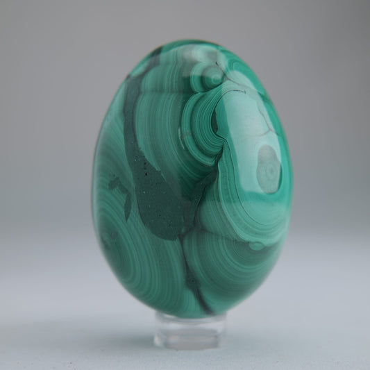 Malachite Egg Congo 260g 64mm - Luna Panther