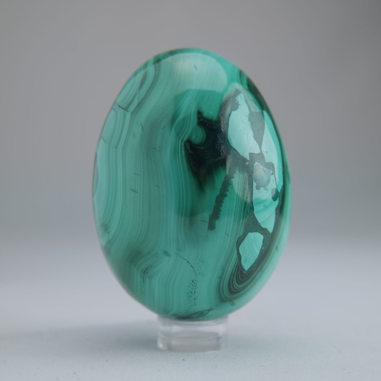 Malachite Egg Congo 260g 64mm - Luna Panther
