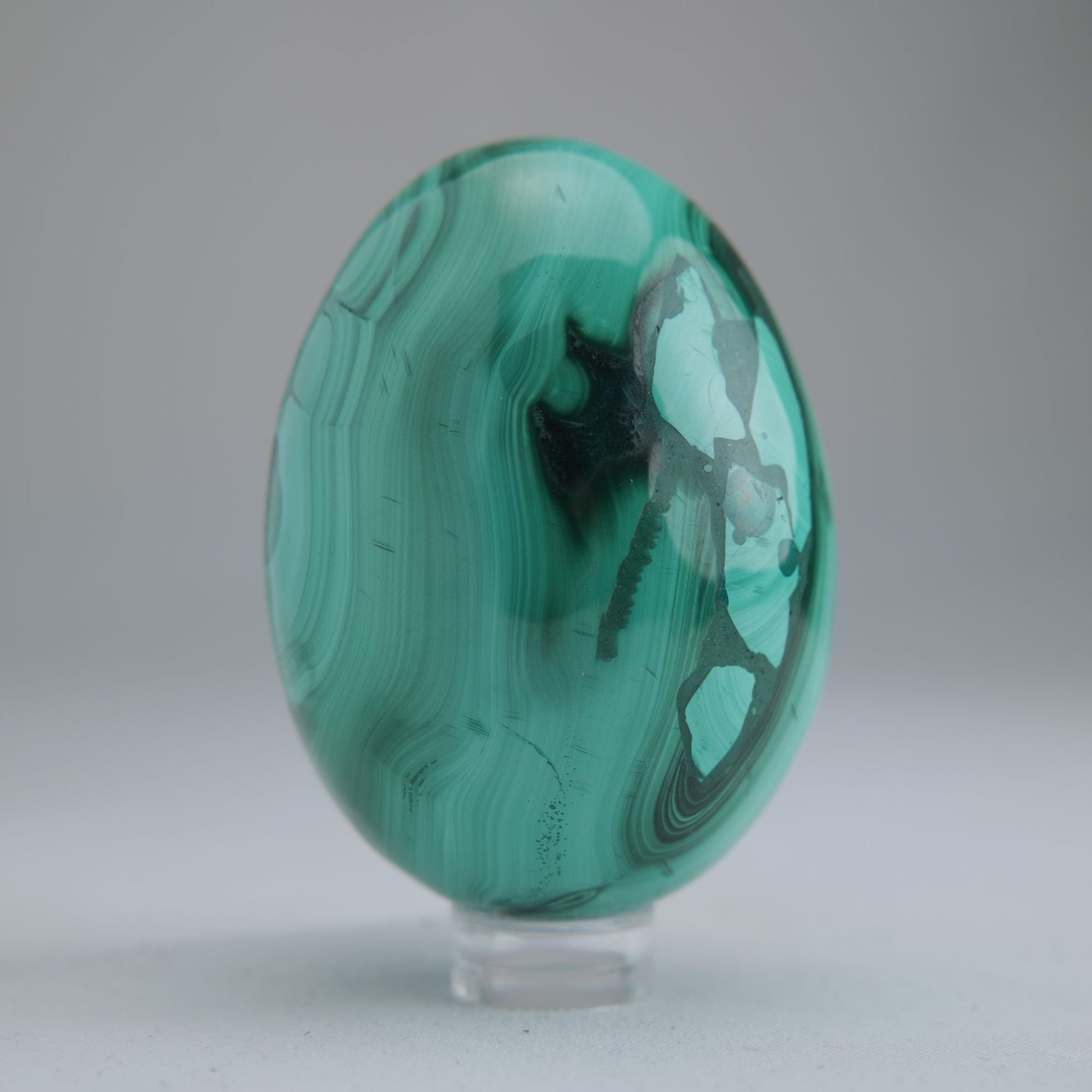 Malachite Egg Congo 260g 64mm - Luna Panther