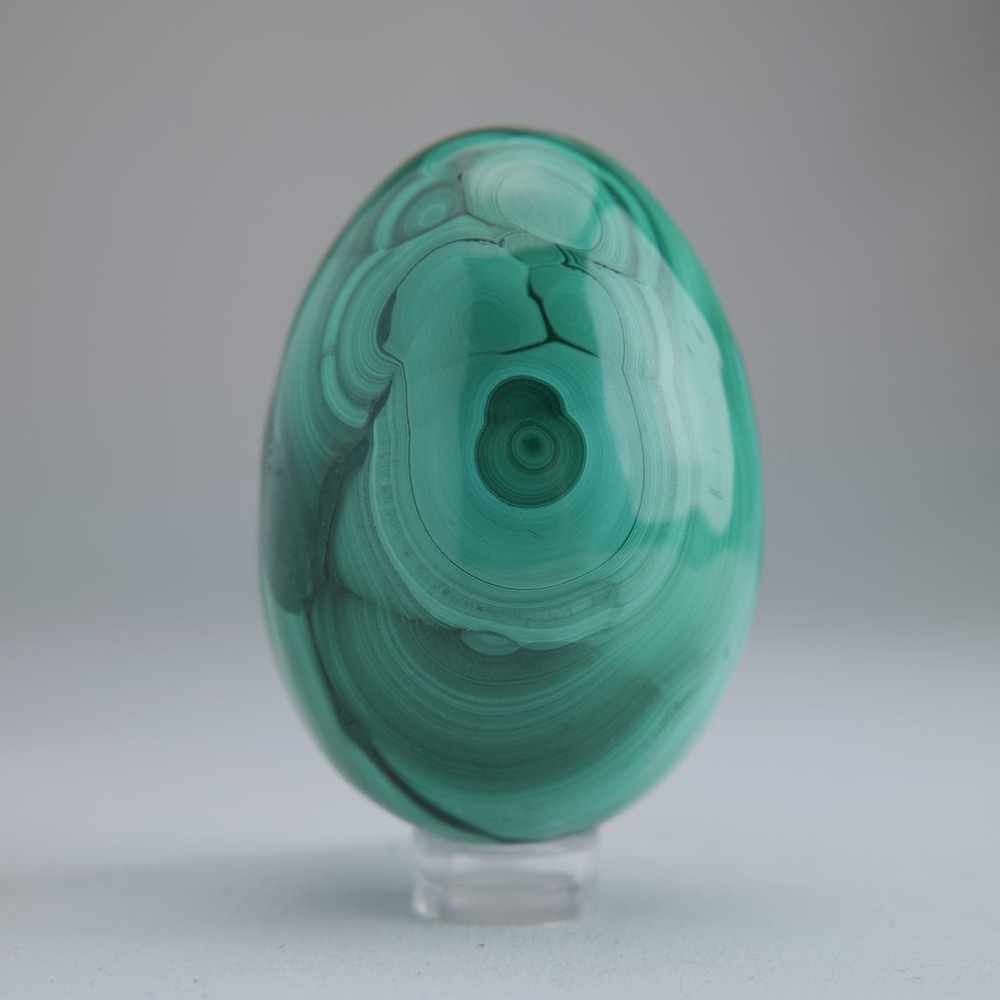 Malachite Egg Congo 260g 64mm - Luna Panther