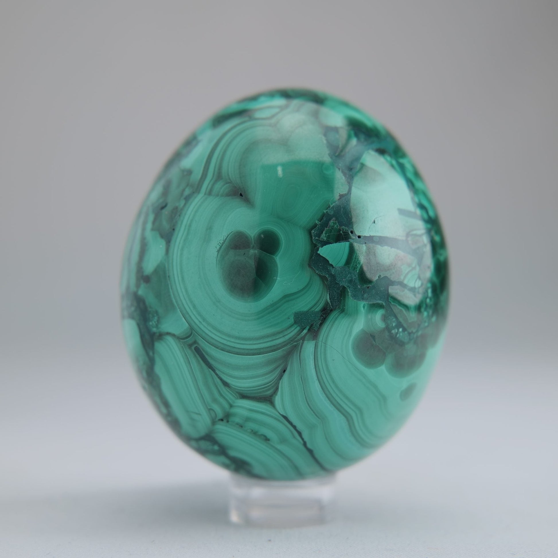 Malachite Flower Egg Congo 285g 61mm - Luna Panther