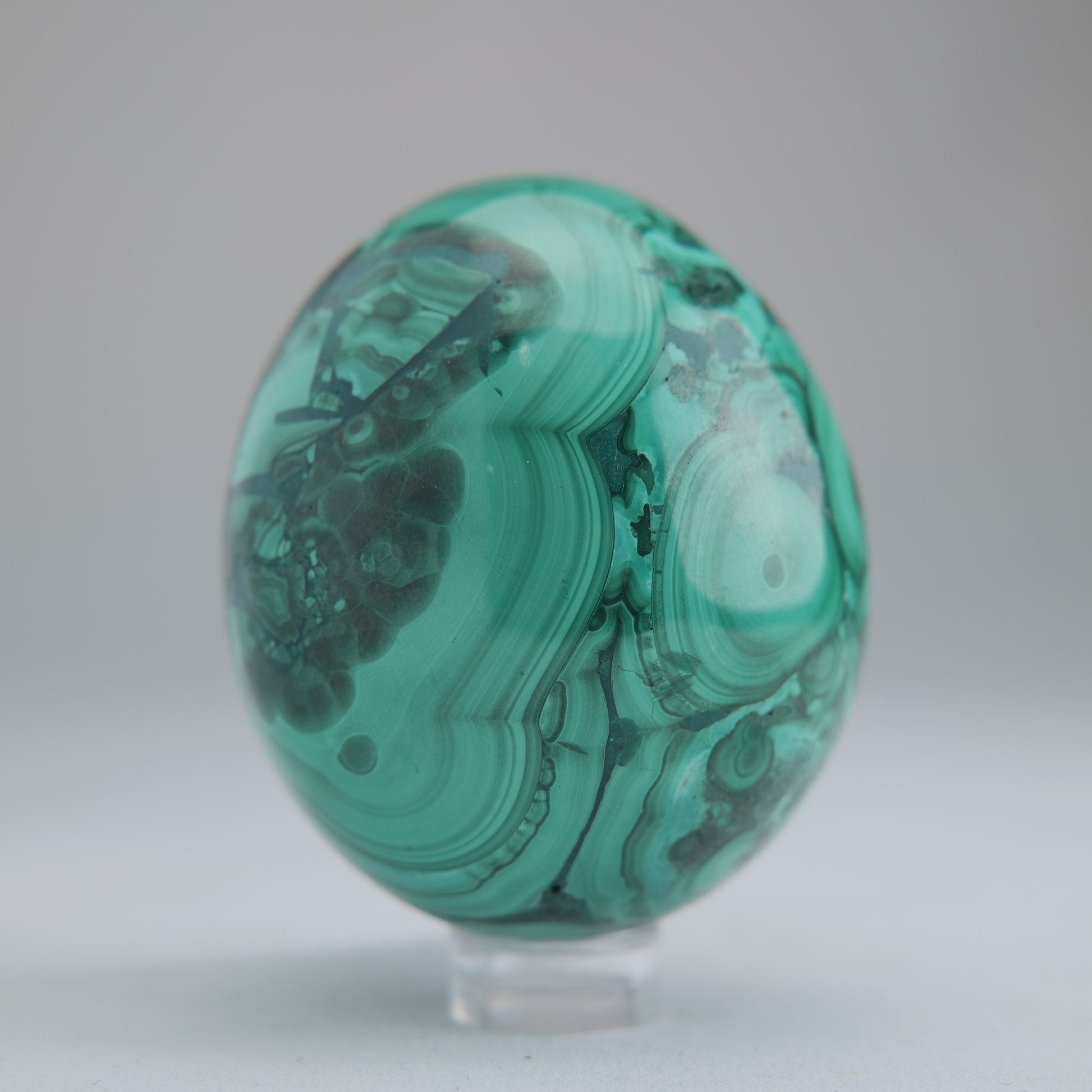 Malachite Flower Egg Congo 285g 61mm - Luna Panther