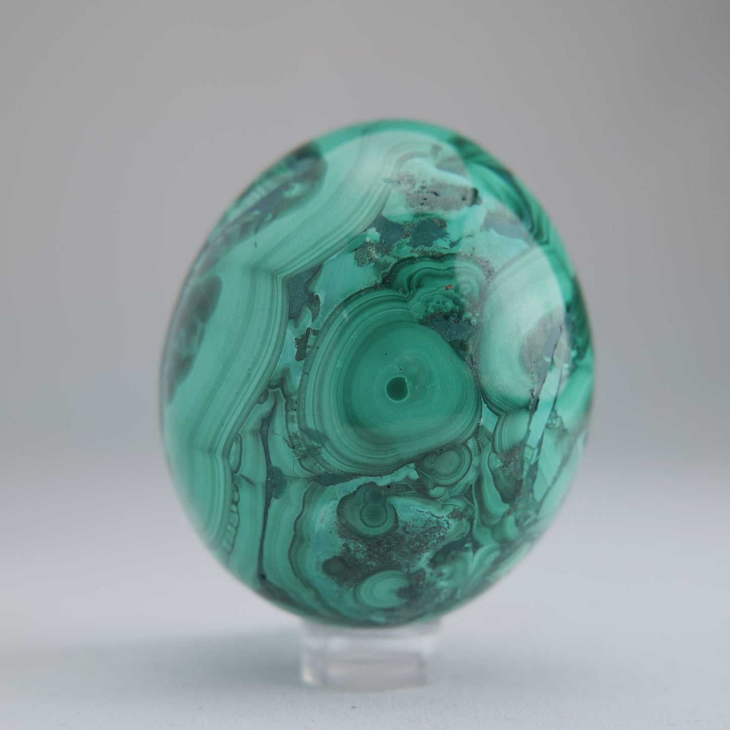 Malachite Flower Egg Congo 285g 61mm - Luna Panther