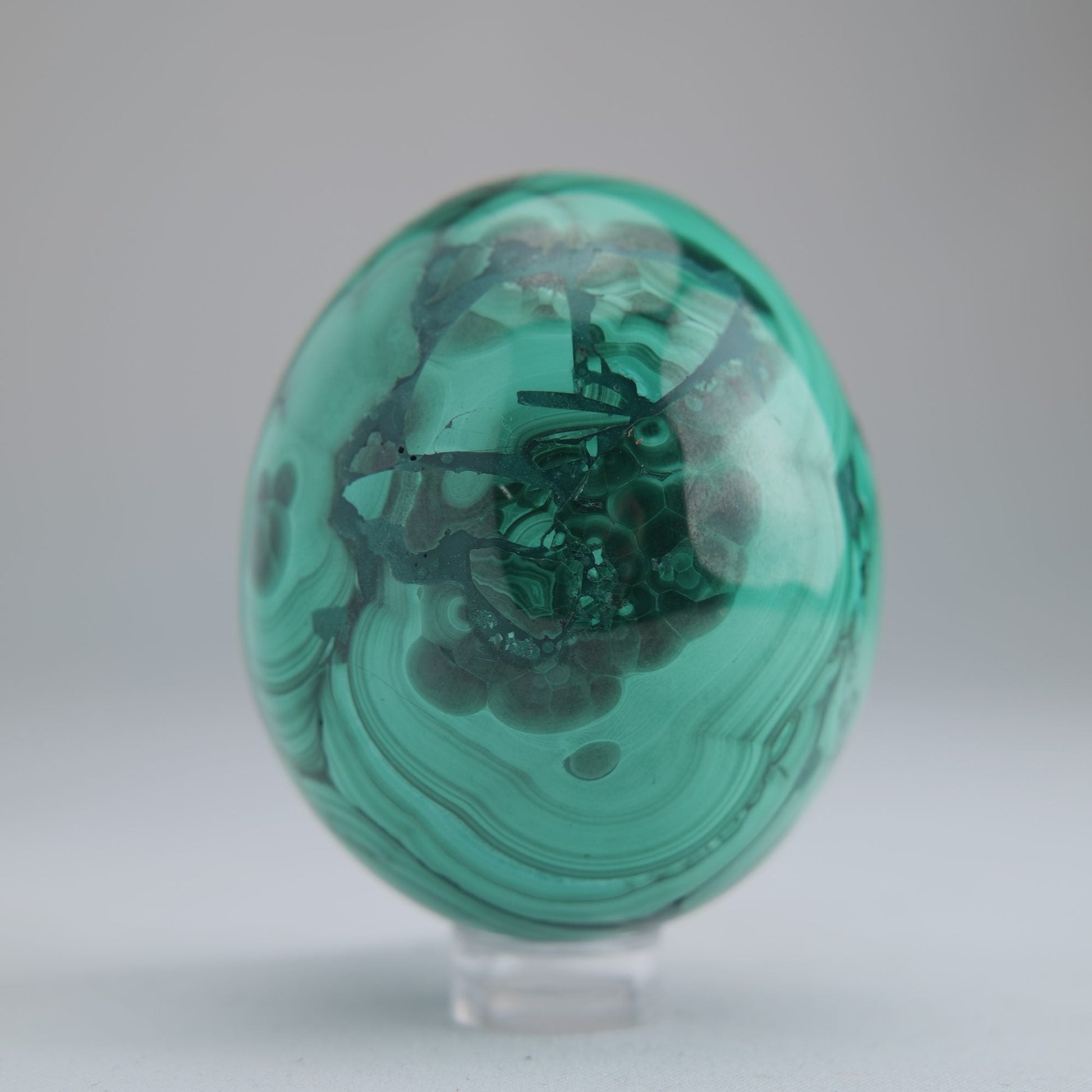 Malachite Flower Egg Congo 285g 61mm - Luna Panther