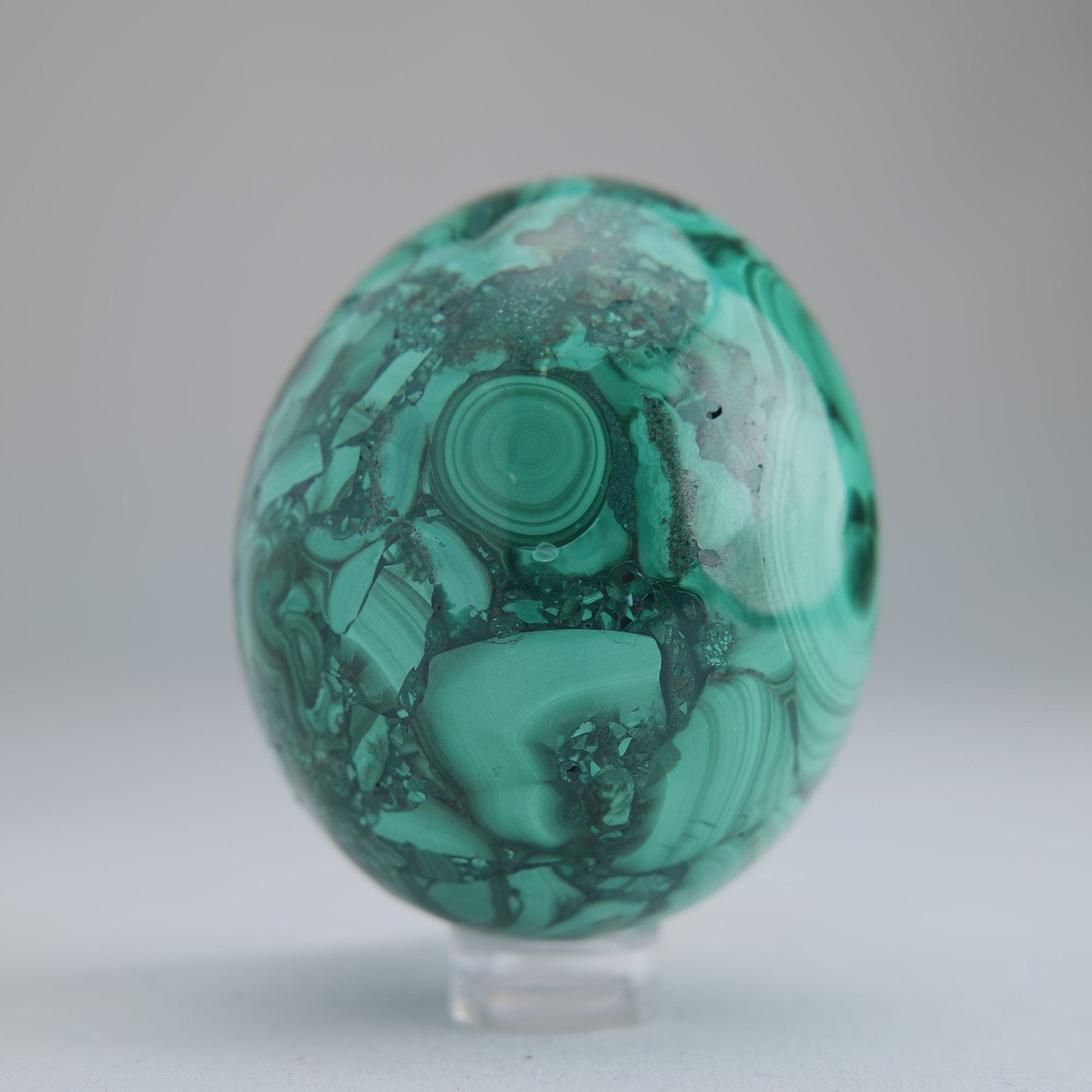 Malachite Flower Egg Congo 285g 61mm - Luna Panther