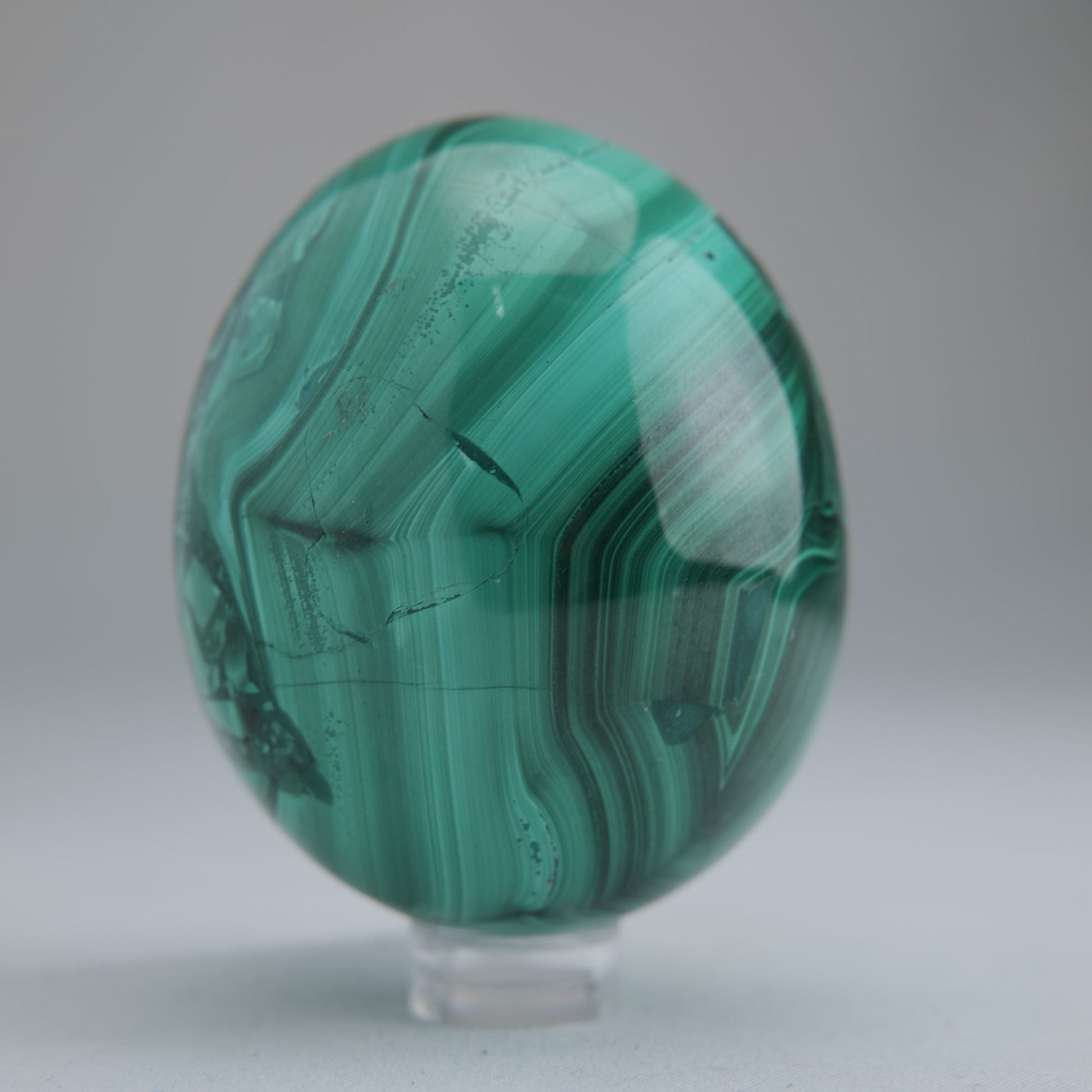 Malachite Flower Egg Congo 349g 64mm - Luna Panther