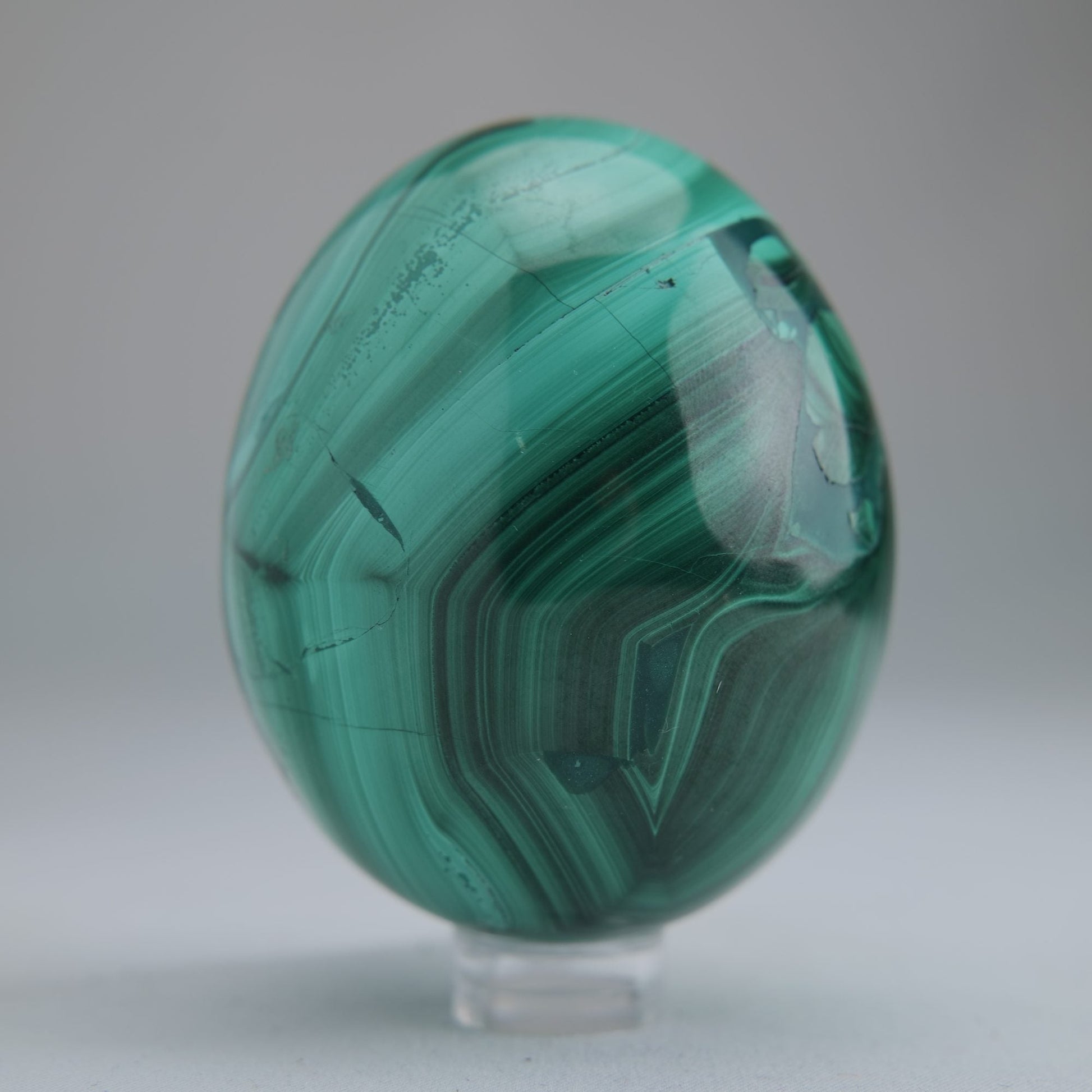 Malachite Flower Egg Congo 349g 64mm - Luna Panther