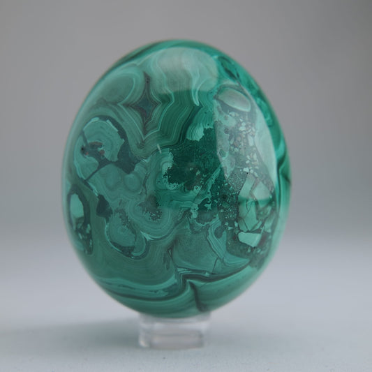 Malachite Flower Egg Congo 349g 64mm - Luna Panther