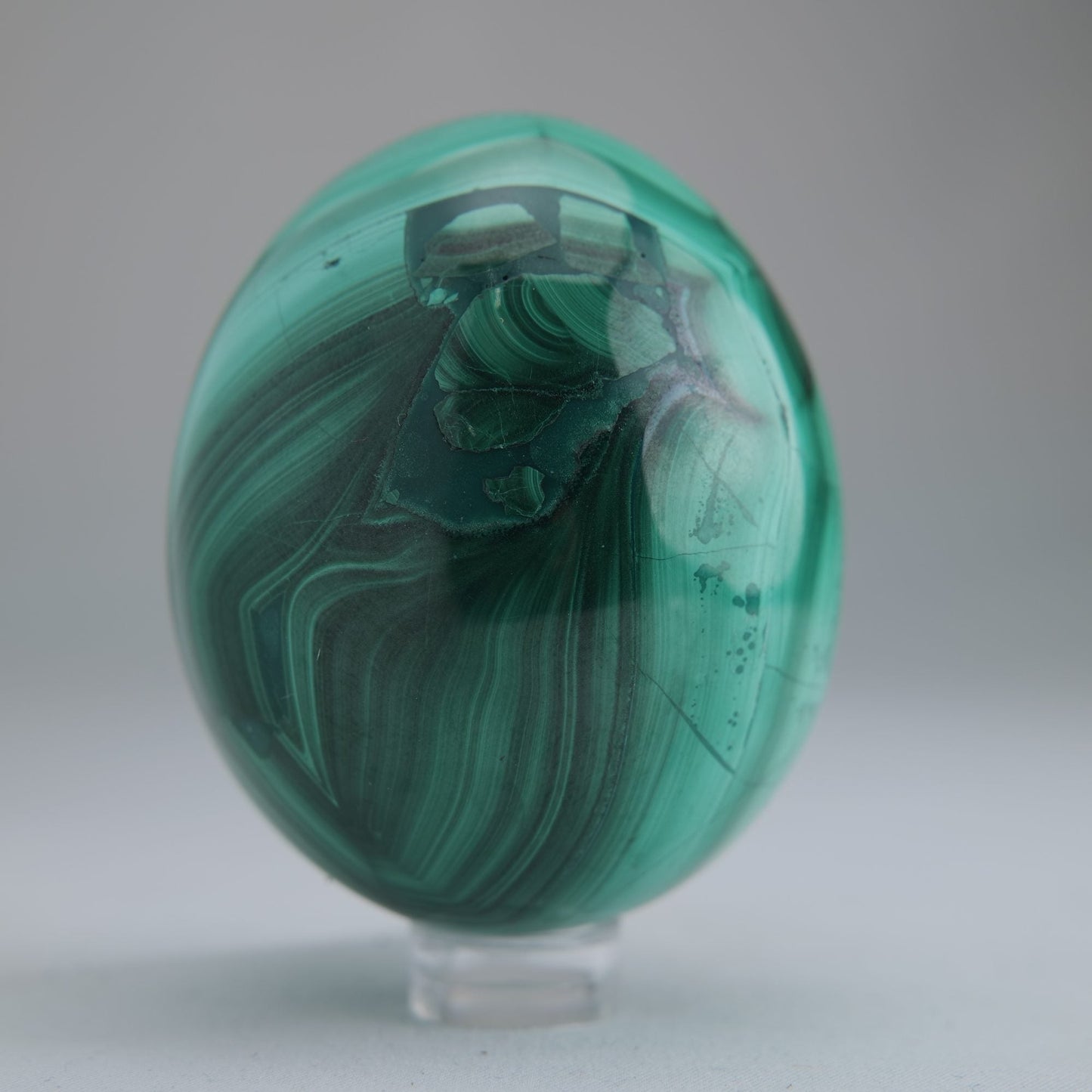 Malachite Flower Egg Congo 349g 64mm - Luna Panther