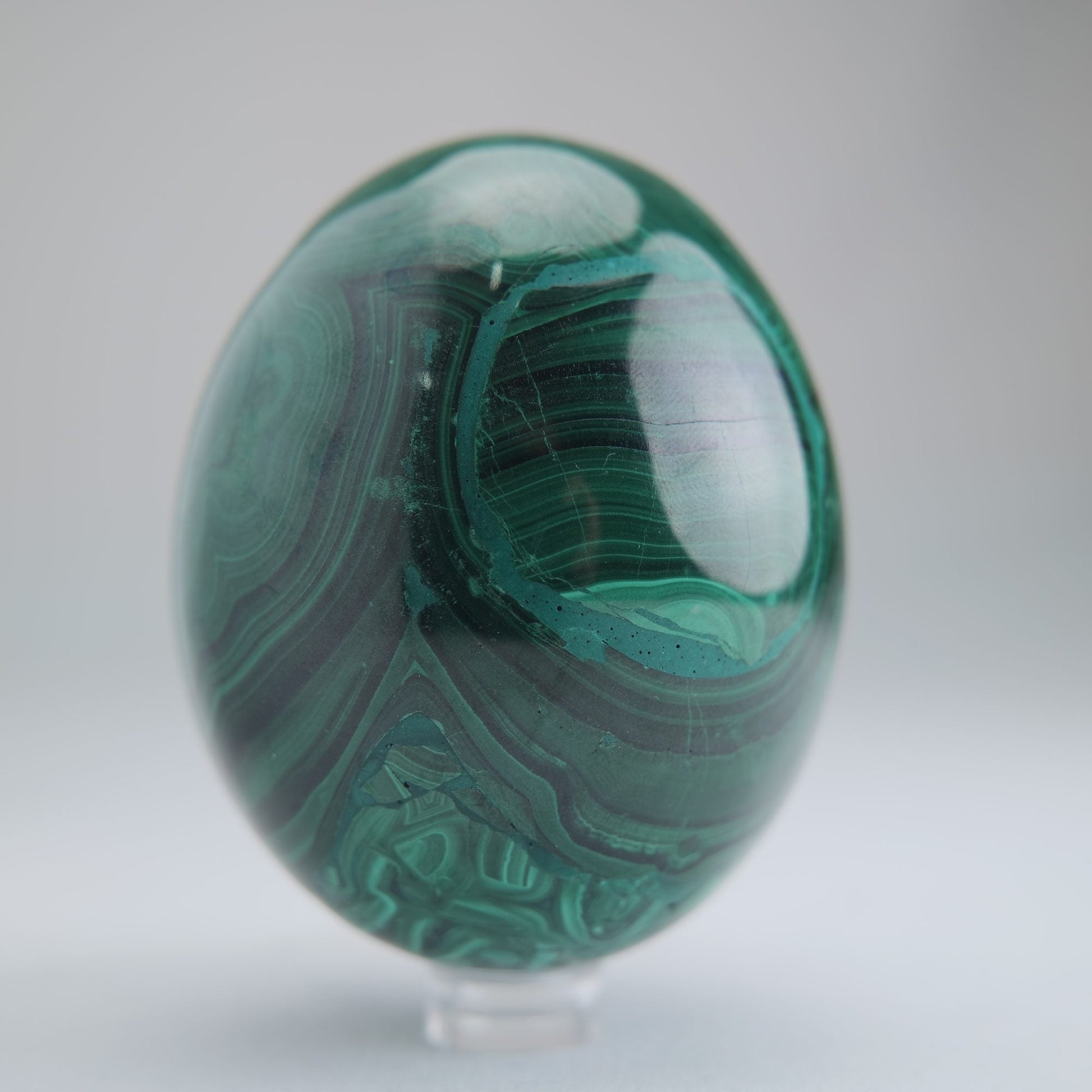 Malachite Flower Egg Congo 619g 77mm - Luna Panther