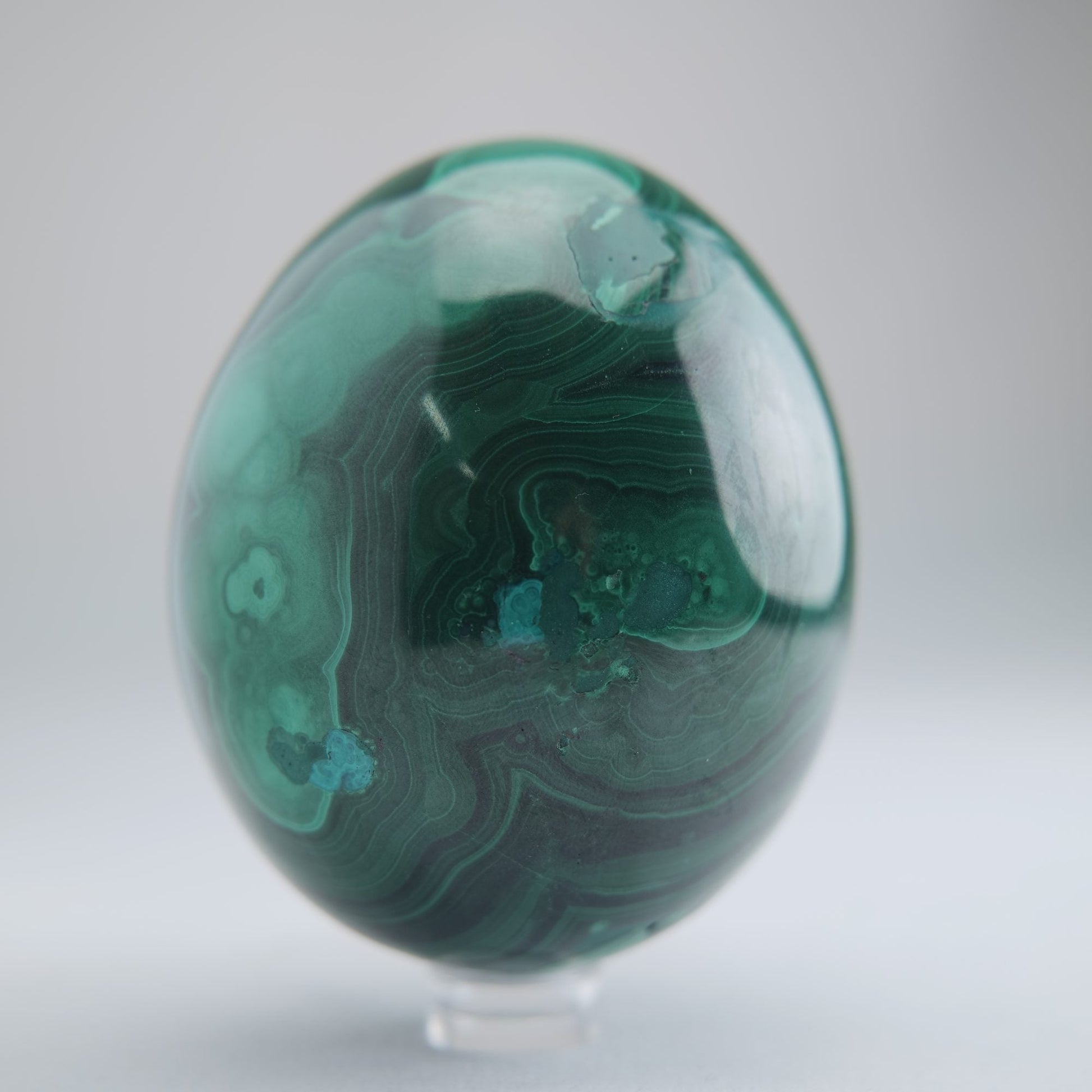 Malachite Flower Egg Congo 619g 77mm - Luna Panther