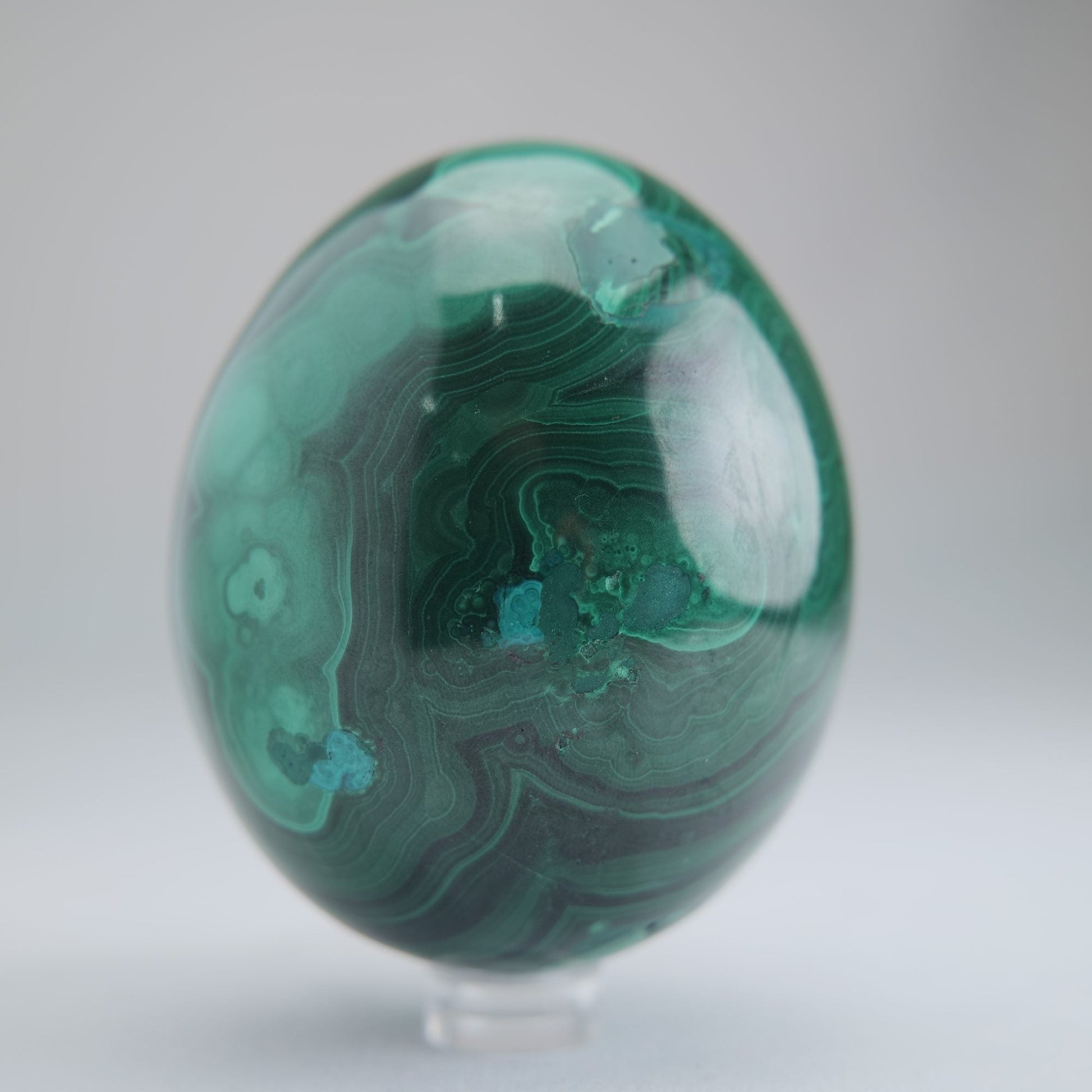 Malachite Flower Egg Congo 619g 77mm - Luna Panther