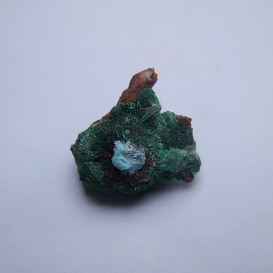 Malachite from Girilambone Mine, New South Wales - 10.63g - Luna Panther