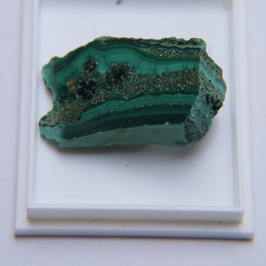 Malachite from Zaire, Democratic Republic of the Congo - 6.43g - Luna Panther alternate view