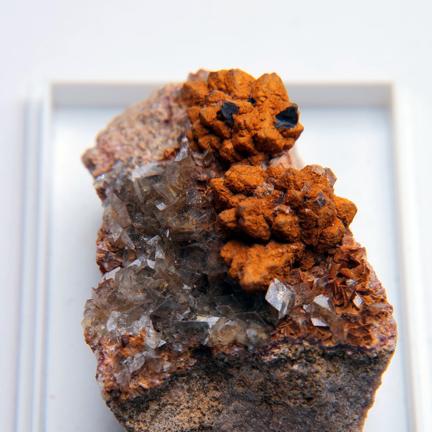 Marcasite from Ton Mawr Quarry, Pentyrch, South Wales - 30.33g - Luna Panther