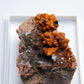 Marcasite from Ton Mawr Quarry, Pentyrch, South Wales - 30.33g - Luna Panther