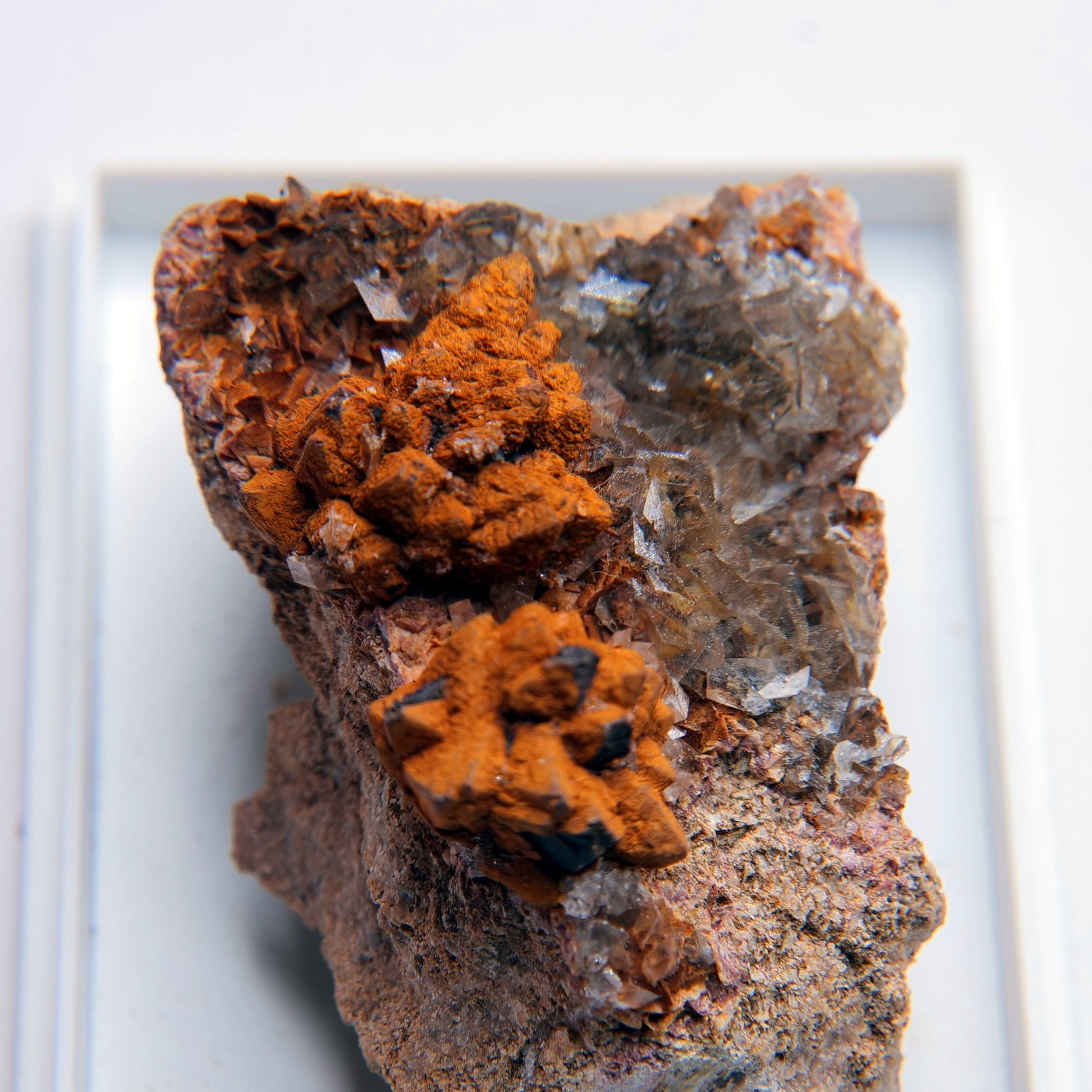 Marcasite from Ton Mawr Quarry, Pentyrch, South Wales - 30.33g - Luna Panther