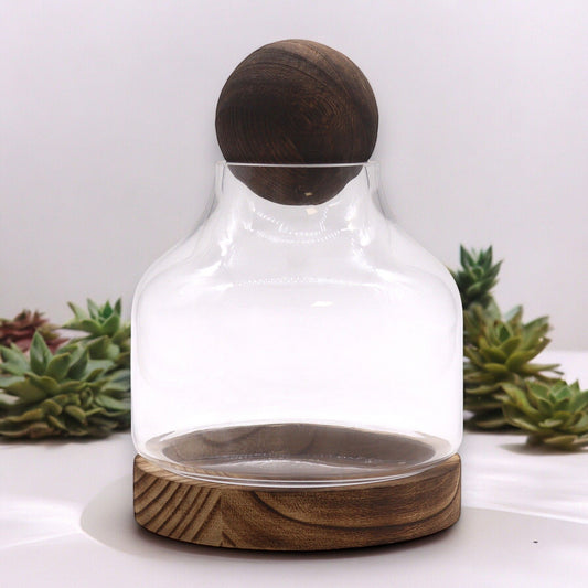Medium Ball Top Terrarium on Dark Tung Wood - Luna Panther alternate view