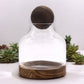 Medium Ball Top Terrarium on Dark Tung Wood - Luna Panther