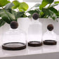 Medium Ball Top Terrarium on Dark Tung Wood - Luna Panther