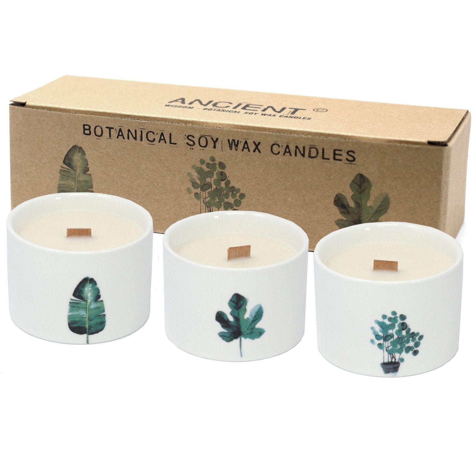 Medium Botanical Candles - Japanese Garden - Luna Panther