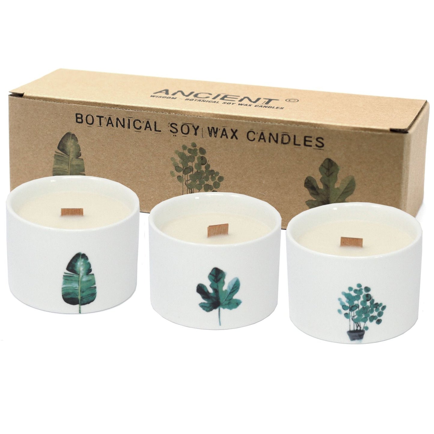 Medium Botanical Candles - Mulberry Harvest - Luna Panther