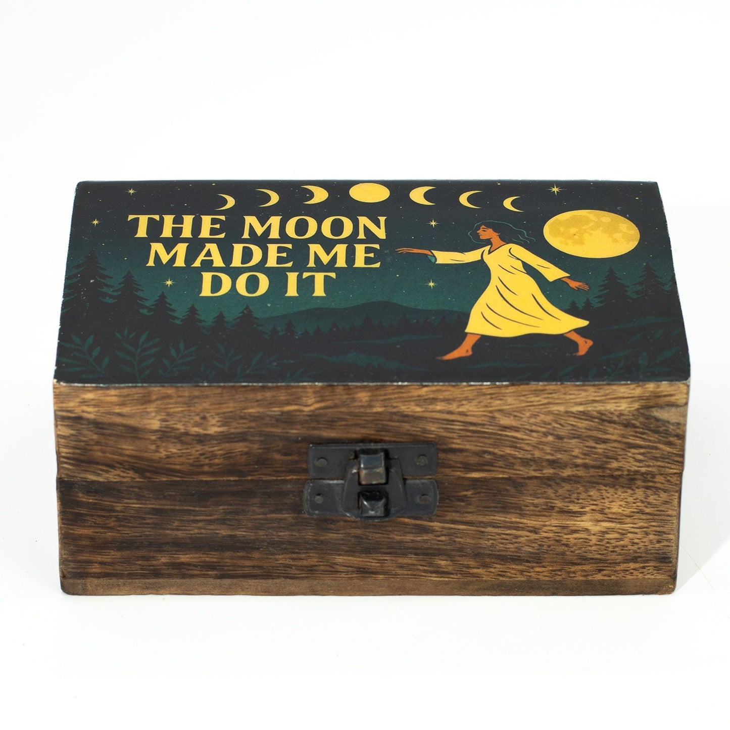 Medium Enamelled Box - The Moon Made me Do It - Luna Panther