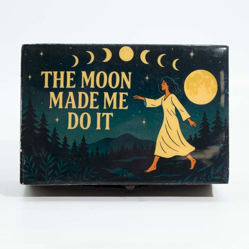 Medium Enamelled Box - The Moon Made me Do It - Luna Panther