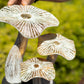 Medium Golden Mushroom Art - 25cm - Whitewash - Luna Panther