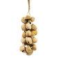 Medium Pangi Seed Shell - Natural Nut Shaker (30 Shells) - Luna Panther
