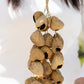 Medium Pangi Seed Shell - Natural Nut Shaker (30 Shells) - Luna Panther