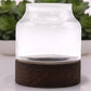 Medium Shaped Terrarium on Dark Tung Wood - Luna Panther