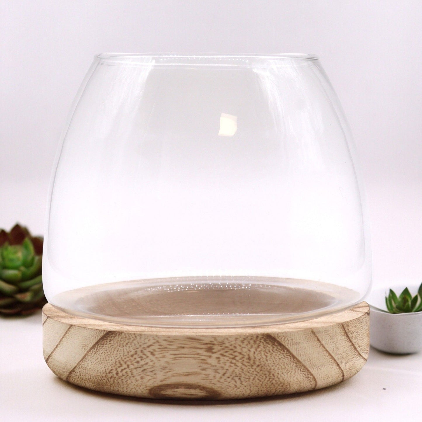 Medium Terrarium on Natural Tung Wood - Luna Panther