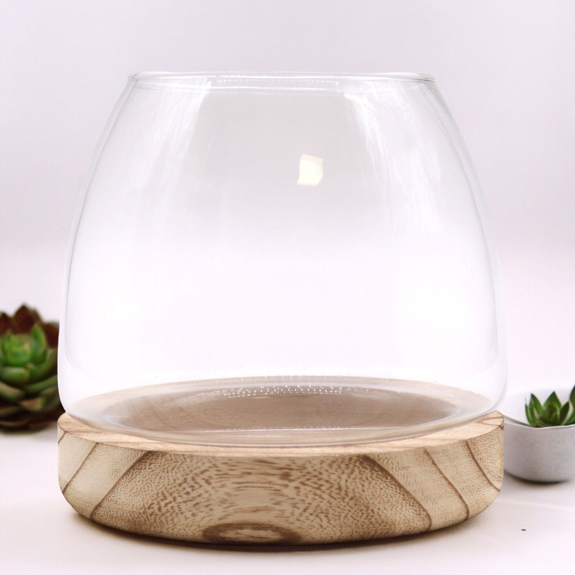 Medium Terrarium on Natural Tung Wood - Luna Panther