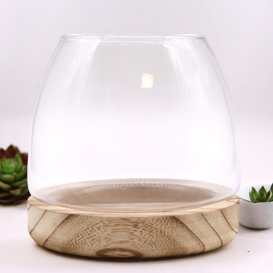 Medium Terrarium on Natural Tung Wood - Luna Panther alternate view