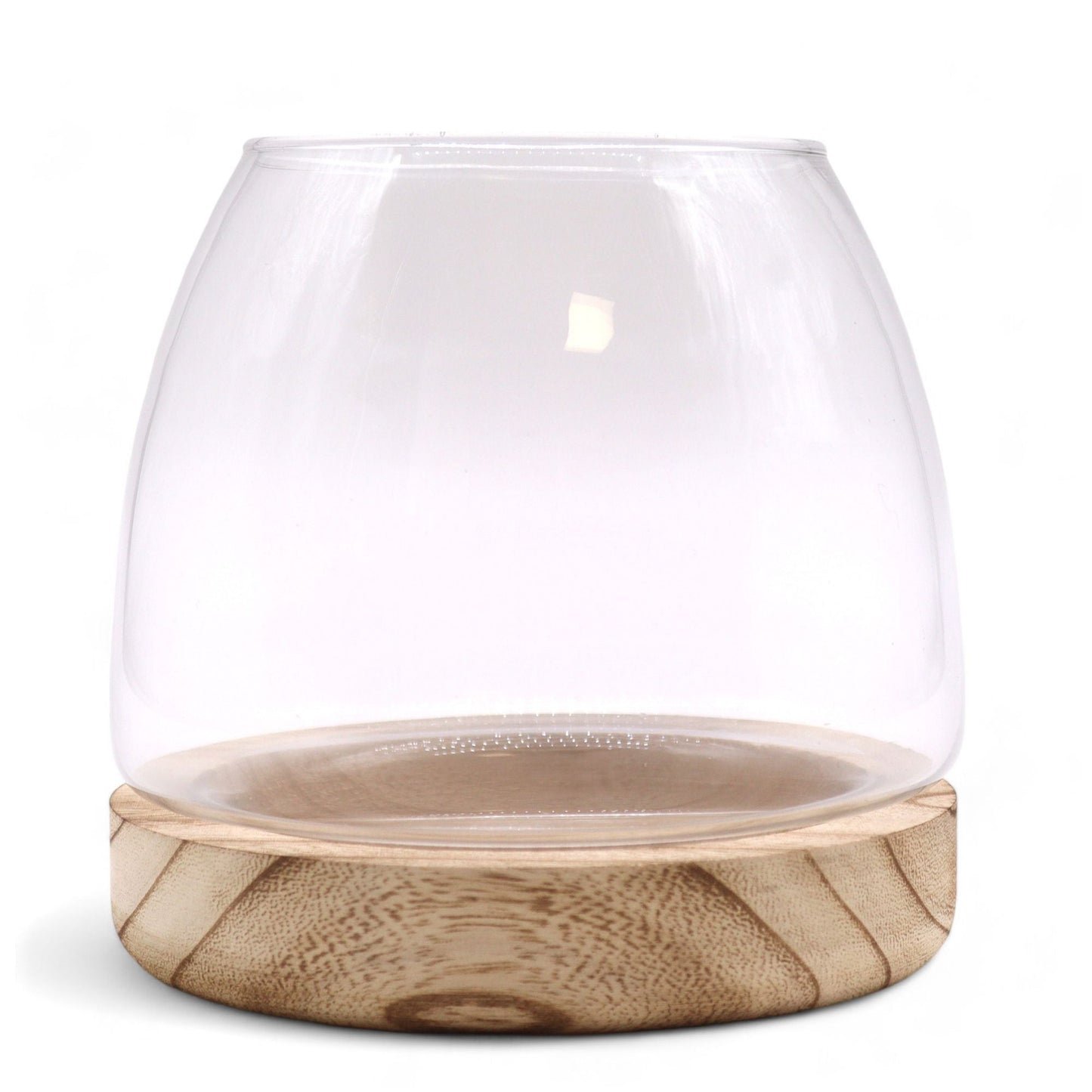 Medium Terrarium on Natural Tung Wood - Luna Panther