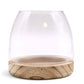 Medium Terrarium on Natural Tung Wood - Luna Panther