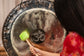 MEINL Sonic Energy Gong Mallet Medium - Pure Green - Luna Panther