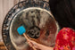 MEINL Sonic Energy Gong Mallet Medium - Sea Petrol - Luna Panther