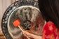 MEINL Sonic Energy Gong Mallet Medium - Sweet Tangerine - Luna Panther