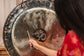 MEINL Sonic Energy Gong Resonant Mallet - 20 mm (0.8") - Luna Panther