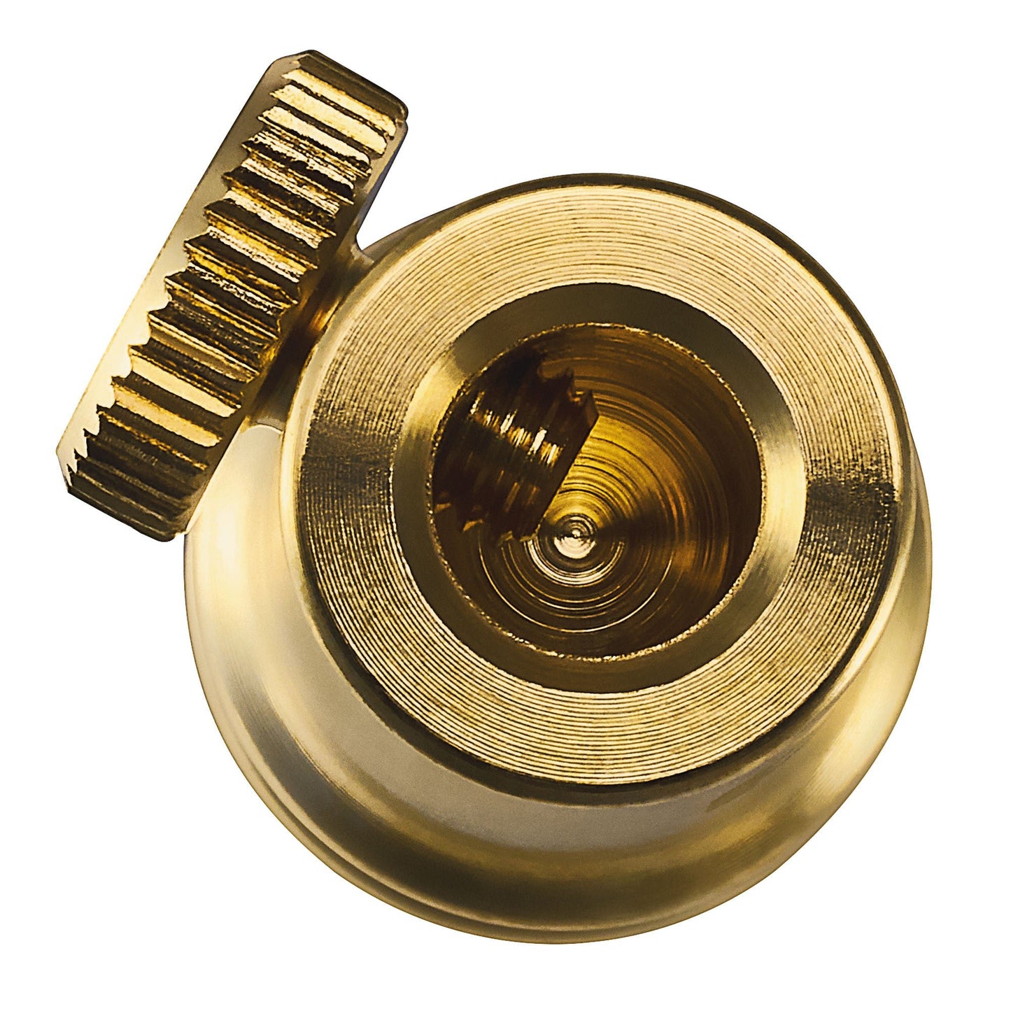 MEINL Sonic Energy Tuning Fork Vibration Foot Small - Gold - Luna Panther