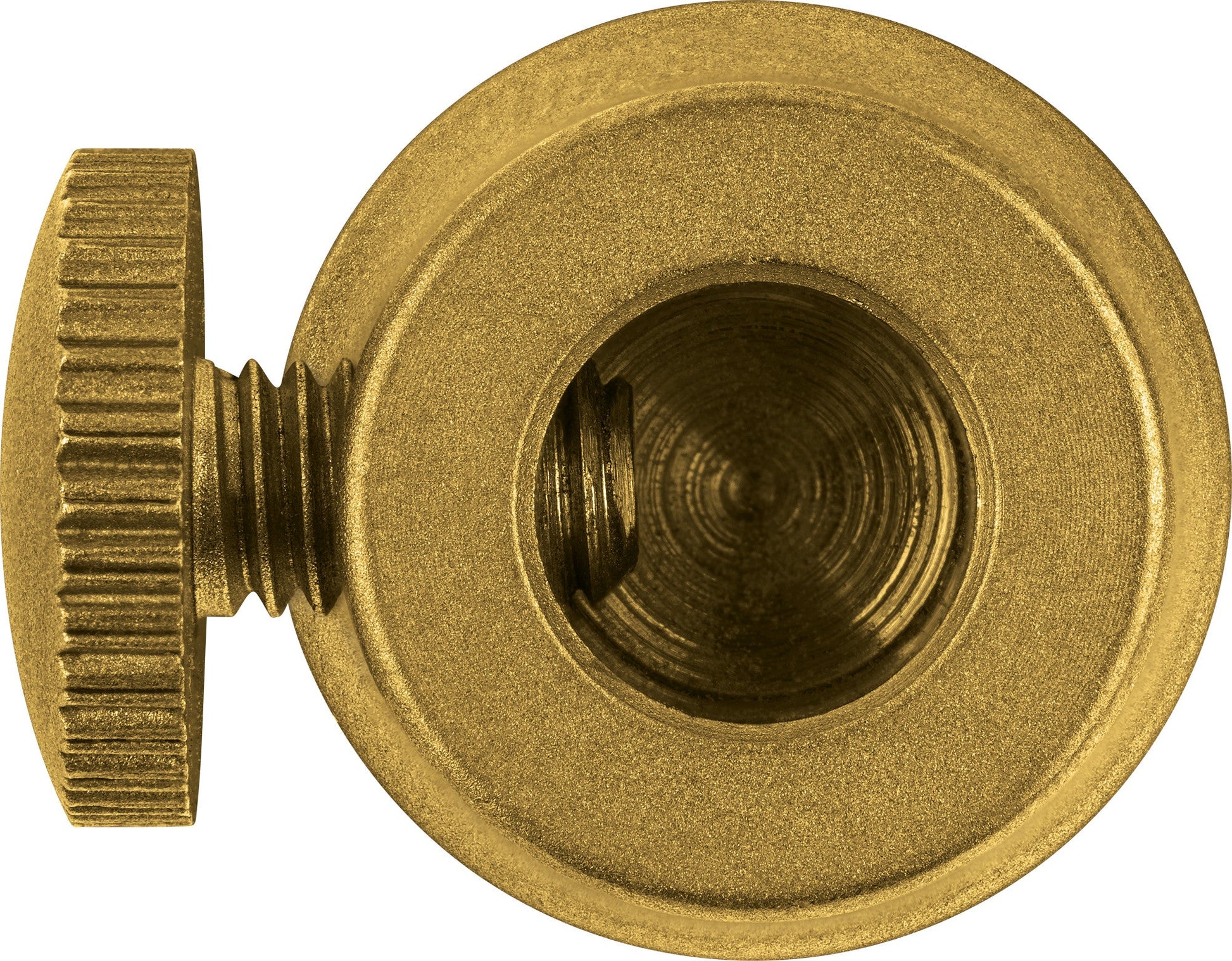 MEINL Sonic Energy Tuning Fork Vibration Foot Small - Gold - Luna Panther