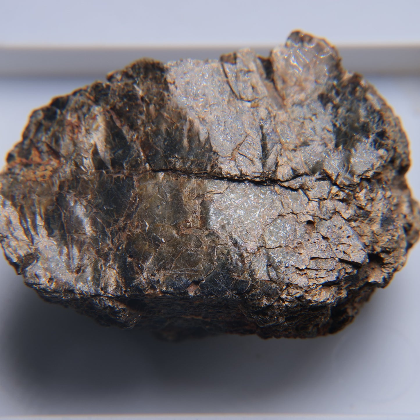 Mica from Freeman Mine, Tuxedo, North Carolina - 10.47g