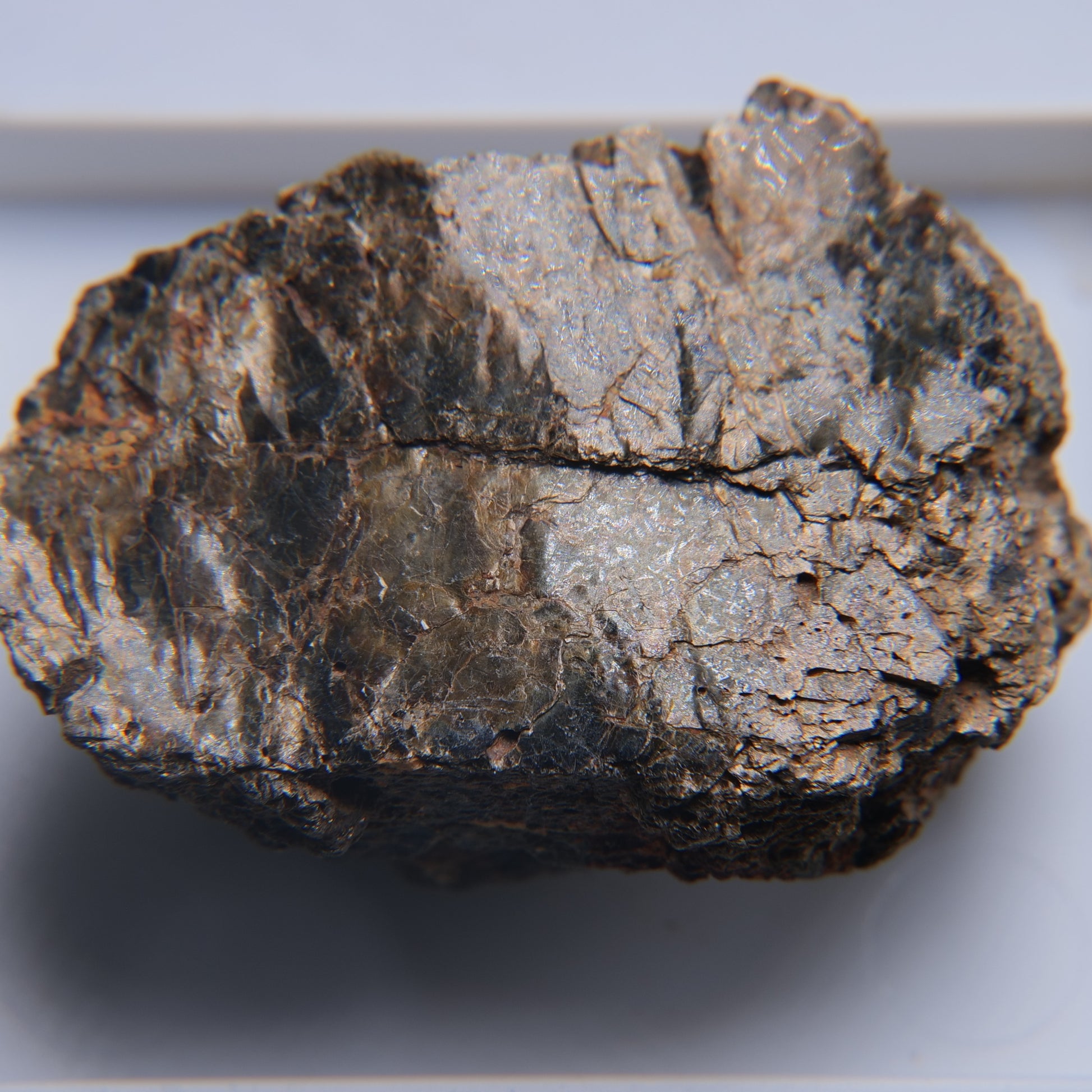 Mica from Freeman Mine, Tuxedo, North Carolina - 10.47g