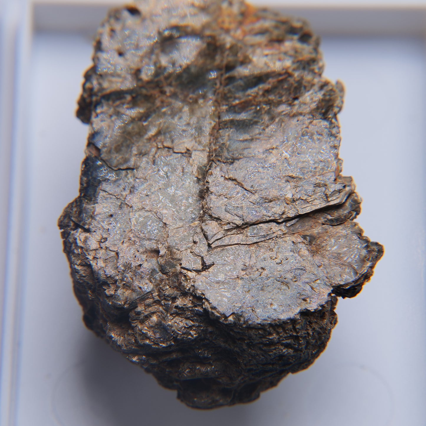 Mica from Freeman Mine, Tuxedo, North Carolina - 10.47g