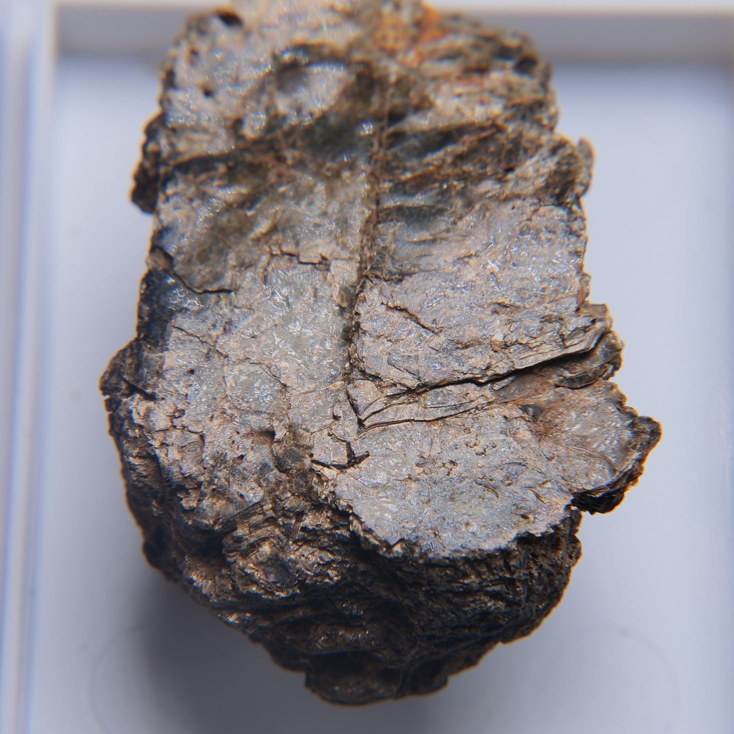 Mica from Freeman Mine, Tuxedo, North Carolina - 10.47g — minerals, image 2 of 5.