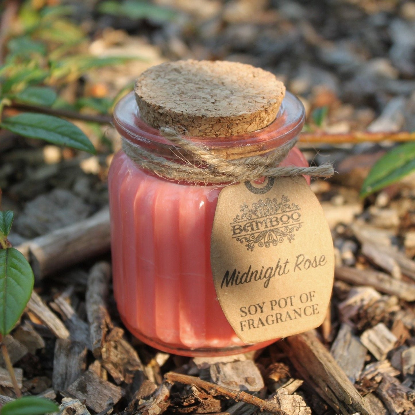 Midnight Rose Soy Pot of Fragrance Candles - Luna Panther