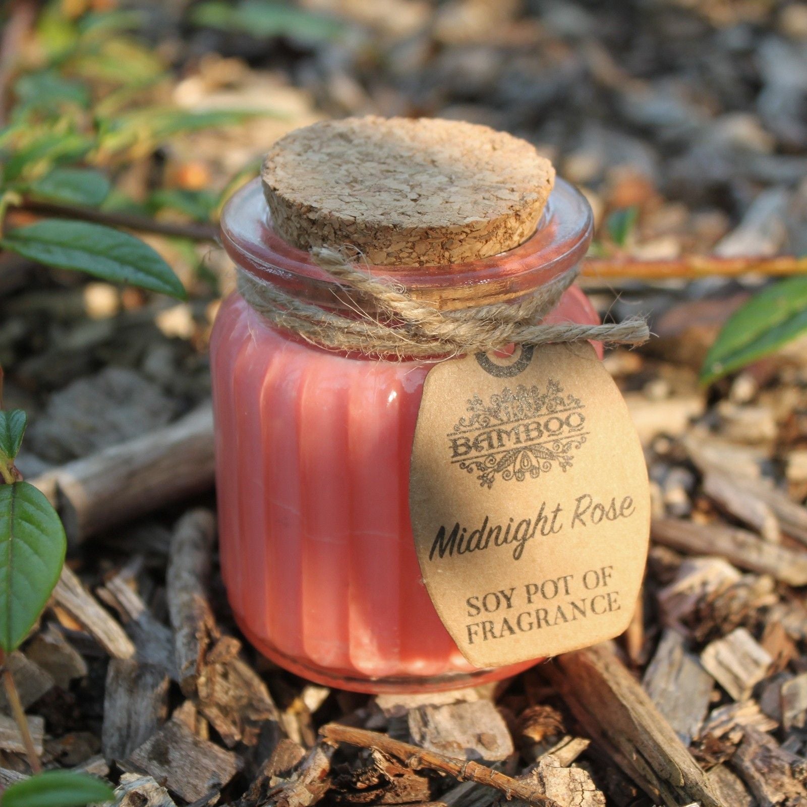 Midnight Rose Soy Pot of Fragrance Candles - Luna Panther