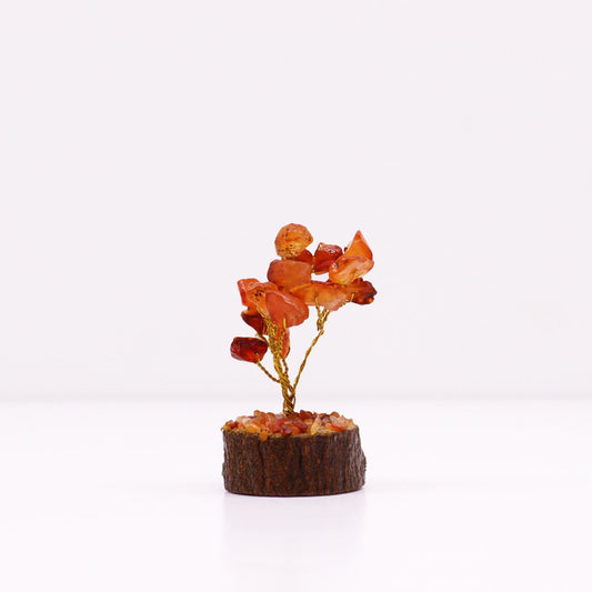 Polished Mini Gemstone Tree On Wood Base - Carnelian (15 stones) featuring vibrant orange tone and smooth polish - Luna Panther